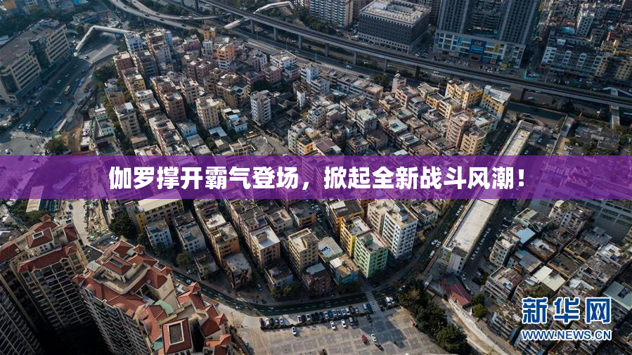 伽罗撑开霸气登场，掀起全新战斗风潮！