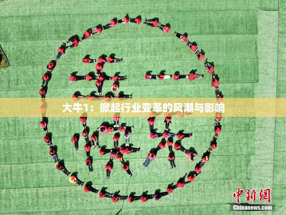 大牛1：掀起行业变革的风潮与影响