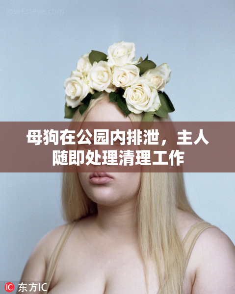 母狗在公园内排泄，主人随即处理清理工作