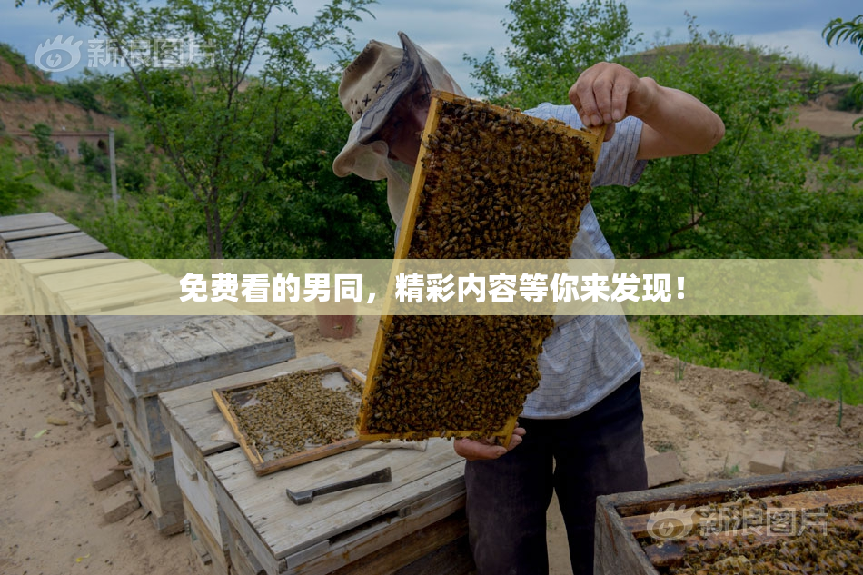 免费看的男同，精彩内容等你来发现！