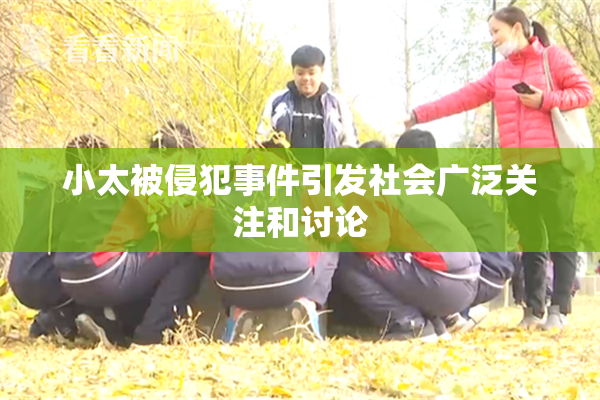 小太被侵犯事件引发社会广泛关注和讨论