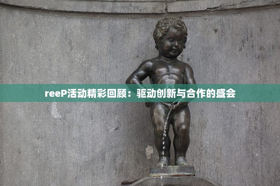 reeP活动精彩回顾：驱动创新与合作的盛会