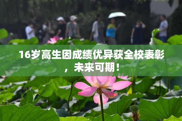 16岁高生因成绩优异获全校表彰，未来可期！