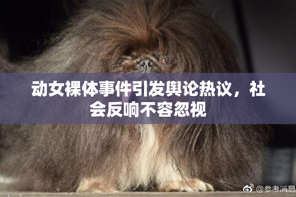 动女裸体事件引发舆论热议，社会反响不容忽视