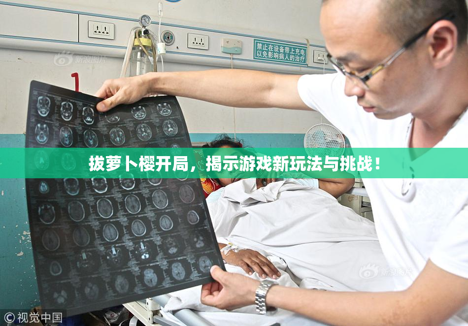 拔萝卜樱开局，揭示游戏新玩法与挑战！