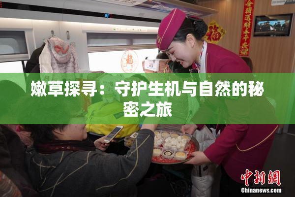 嫩草探寻：守护生机与自然的秘密之旅