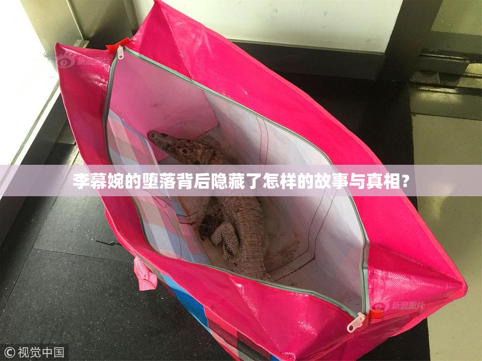 李幕婉的堕落背后隐藏了怎样的故事与真相？