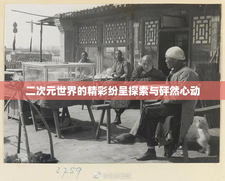 二次元世界的精彩纷呈探索与砰然心动