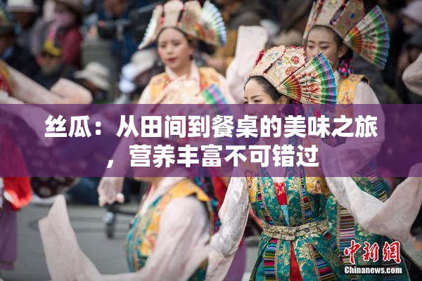 丝瓜：从田间到餐桌的美味之旅，营养丰富不可错过