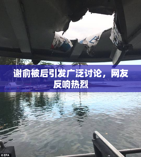 谢俞被后引发广泛讨论，网友反响热烈