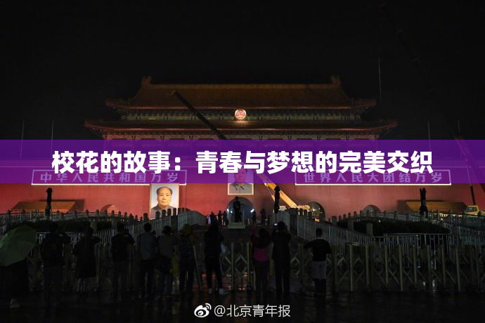 校花的故事：青春与梦想的完美交织