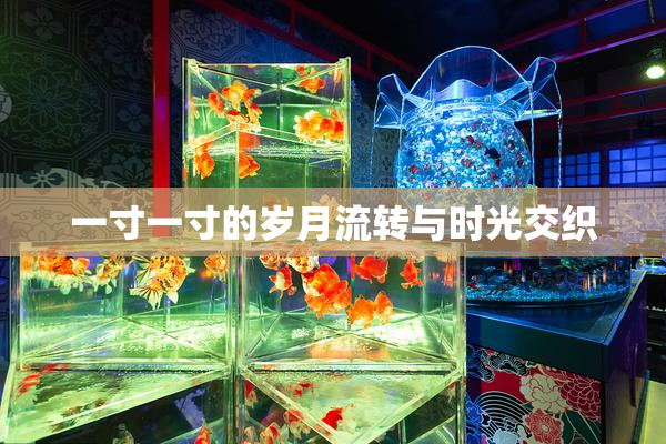 一寸一寸的岁月流转与时光交织