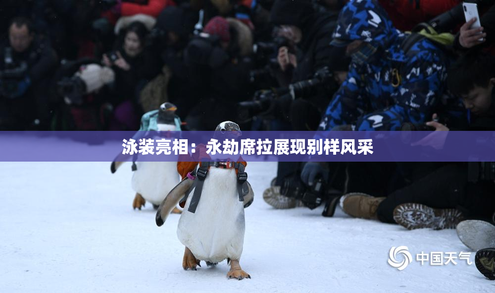 泳装亮相：永劫席拉展现别样风采