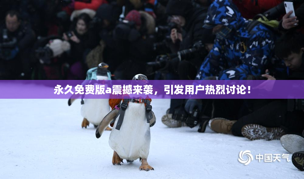 永久免费版a震撼来袭，引发用户热烈讨论！