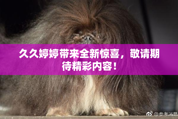 久久婷婷带来全新惊喜，敬请期待精彩内容！