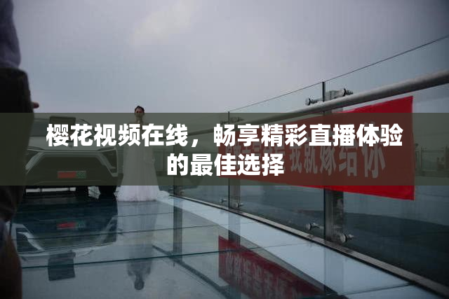 樱花视频在线，畅享精彩直播体验的最佳选择