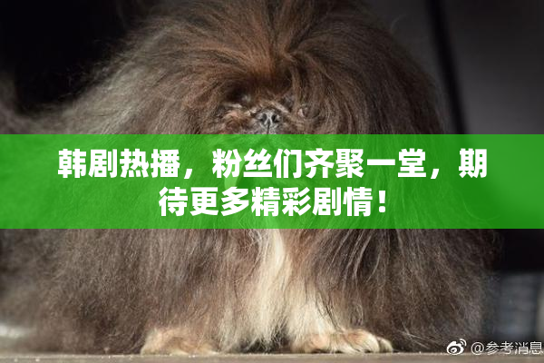 韩剧热播，粉丝们齐聚一堂，期待更多精彩剧情！