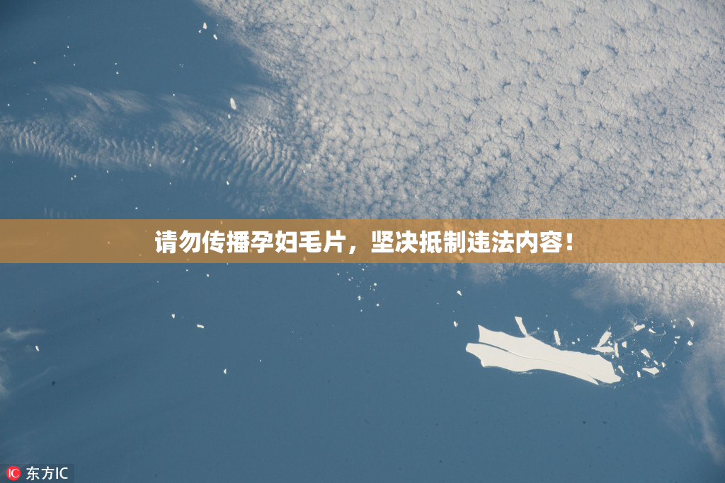 请勿传播孕妇毛片，坚决抵制违法内容！