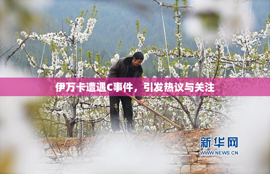 伊万卡遭遇C事件，引发热议与关注