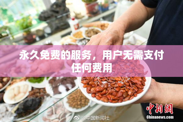 永久免费的服务，用户无需支付任何费用