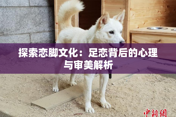探索恋脚文化：足恋背后的心理与审美解析
