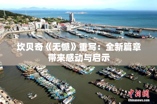 坎贝奇《无憾》重写：全新篇章带来感动与启示