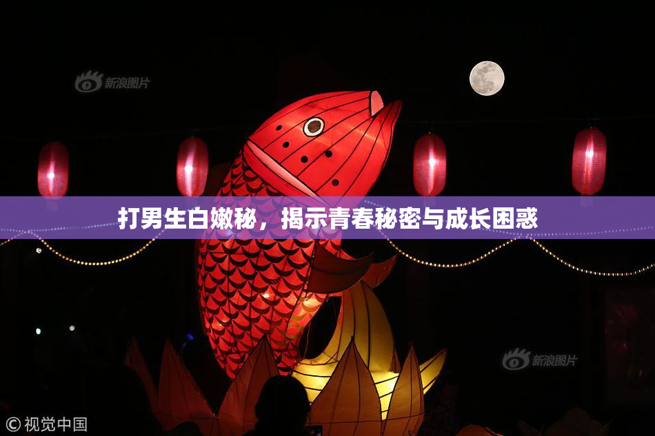 打男生白嫩秘，揭示青春秘密与成长困惑