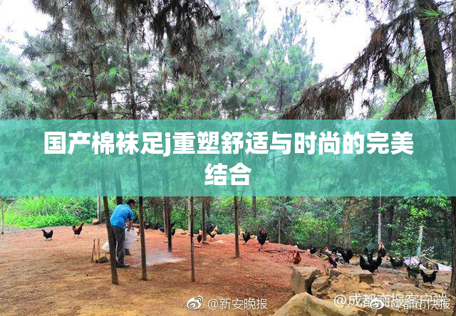 国产棉袜足j重塑舒适与时尚的完美结合