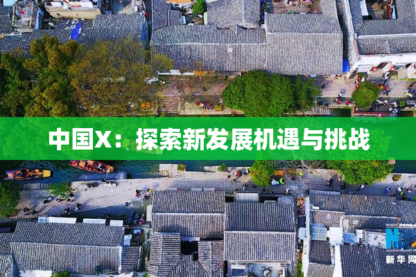 中国X：探索新发展机遇与挑战