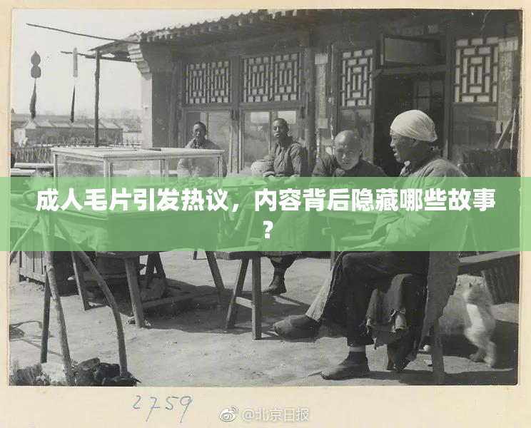 成人毛片引发热议，内容背后隐藏哪些故事？