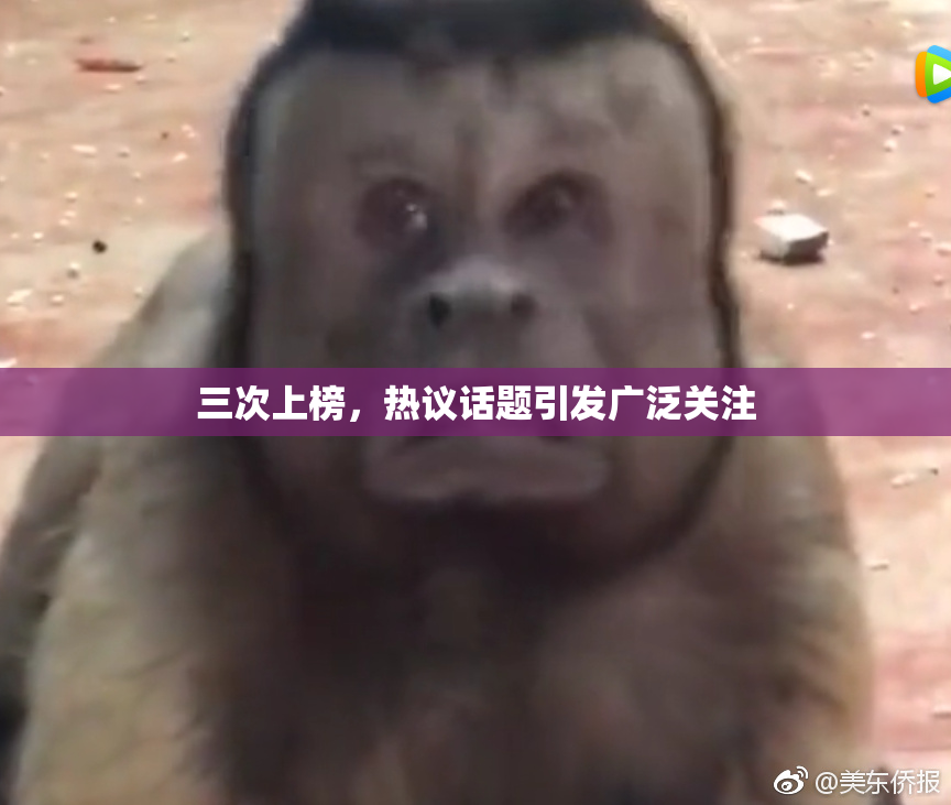 三次上榜，热议话题引发广泛关注