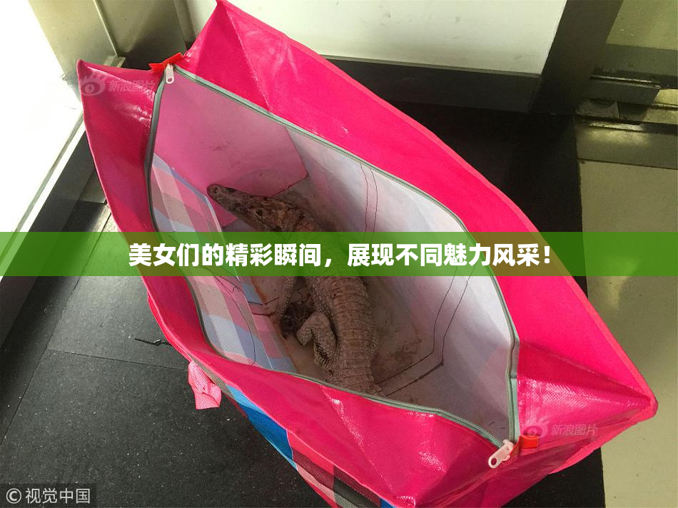 美女们的精彩瞬间，展现不同魅力风采！