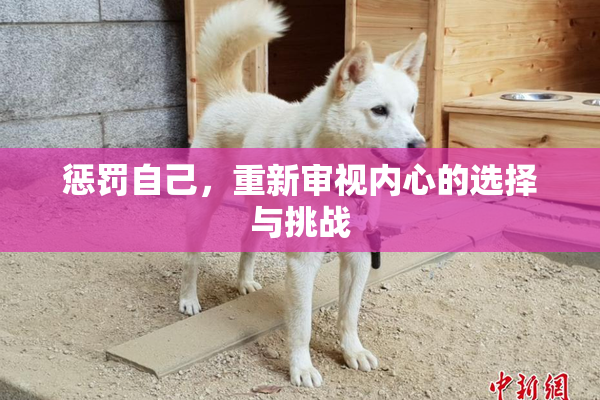惩罚自己，重新审视内心的选择与挑战