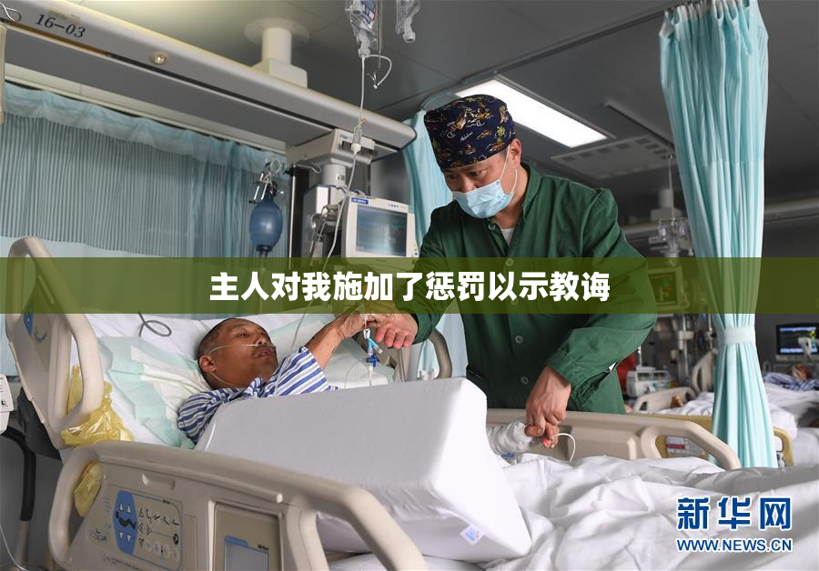主人对我施加了惩罚以示教诲