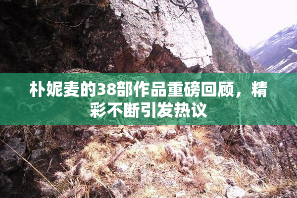 朴妮麦的38部作品重磅回顾，精彩不断引发热议