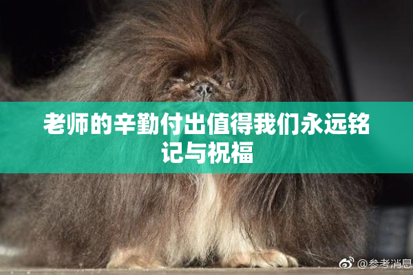 老师的辛勤付出值得我们永远铭记与祝福