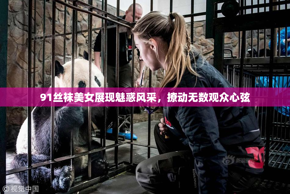 91丝袜美女展现魅惑风采，撩动无数观众心弦
