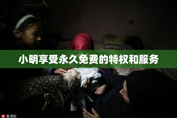 小明享受永久免费的特权和服务