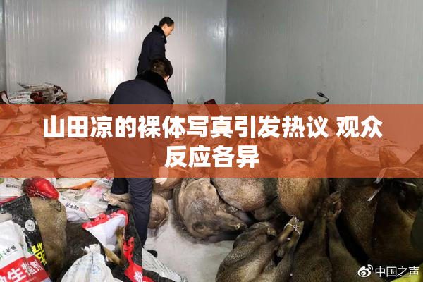 山田凉的裸体写真引发热议 观众反应各异