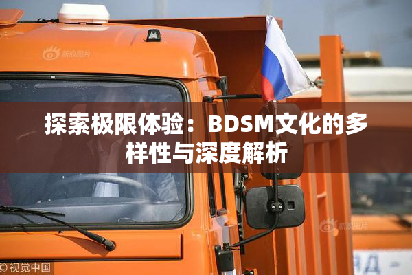 探索极限体验：BDSM文化的多样性与深度解析
