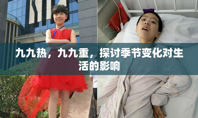 九九热，九九重，探讨季节变化对生活的影响