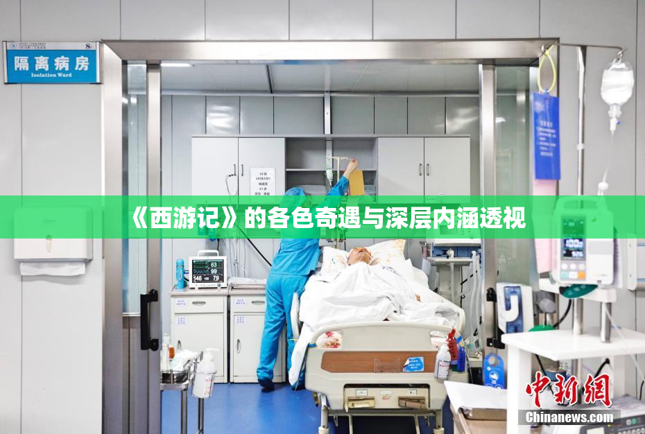 《西游记》的各色奇遇与深层内涵透视