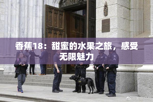 香蕉18：甜蜜的水果之旅，感受无限魅力