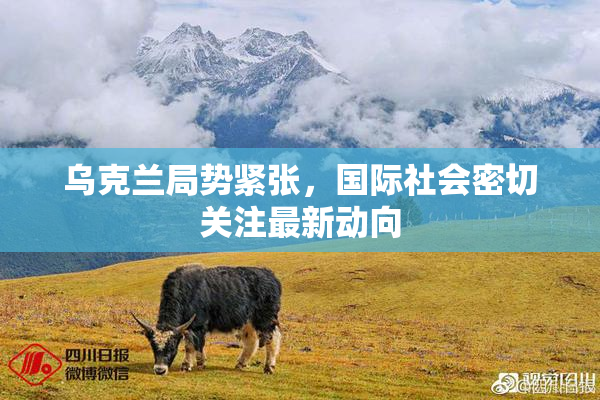 乌克兰局势紧张，国际社会密切关注最新动向