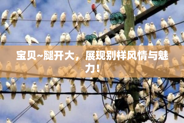 宝贝~腿开大，展现别样风情与魅力！