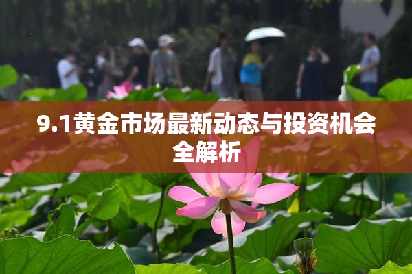 9.1黄金市场最新动态与投资机会全解析