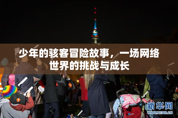 少年的骇客冒险故事，一场网络世界的挑战与成长