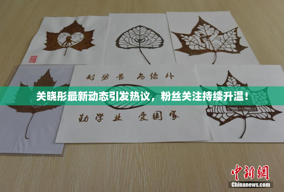 关晓彤最新动态引发热议，粉丝关注持续升温！