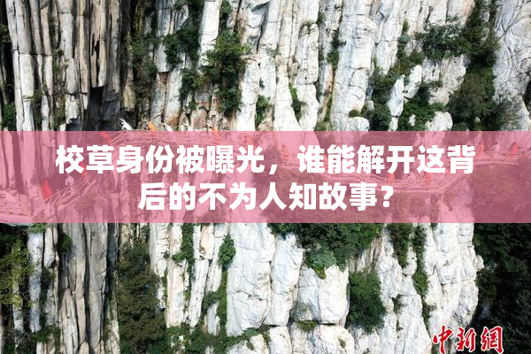 校草身份被曝光，谁能解开这背后的不为人知故事？