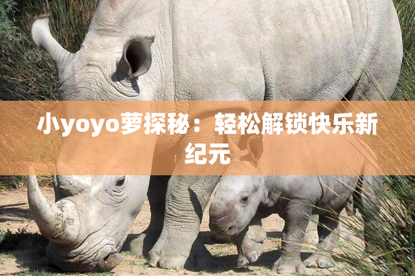小yoyo萝探秘：轻松解锁快乐新纪元